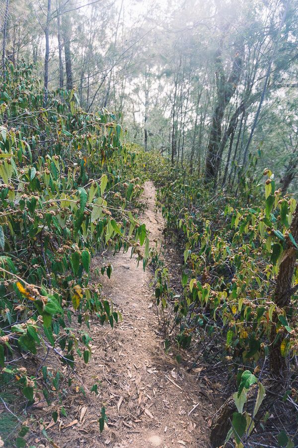 Flint and Steel Beach walking loop Flint and Steel Beach walking loop