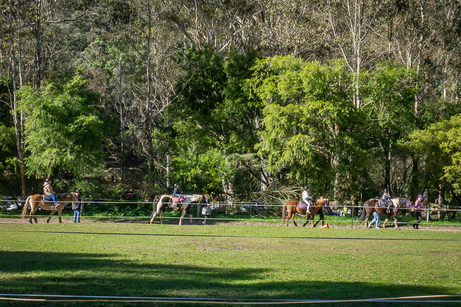 food and wine festival - lead horse rides