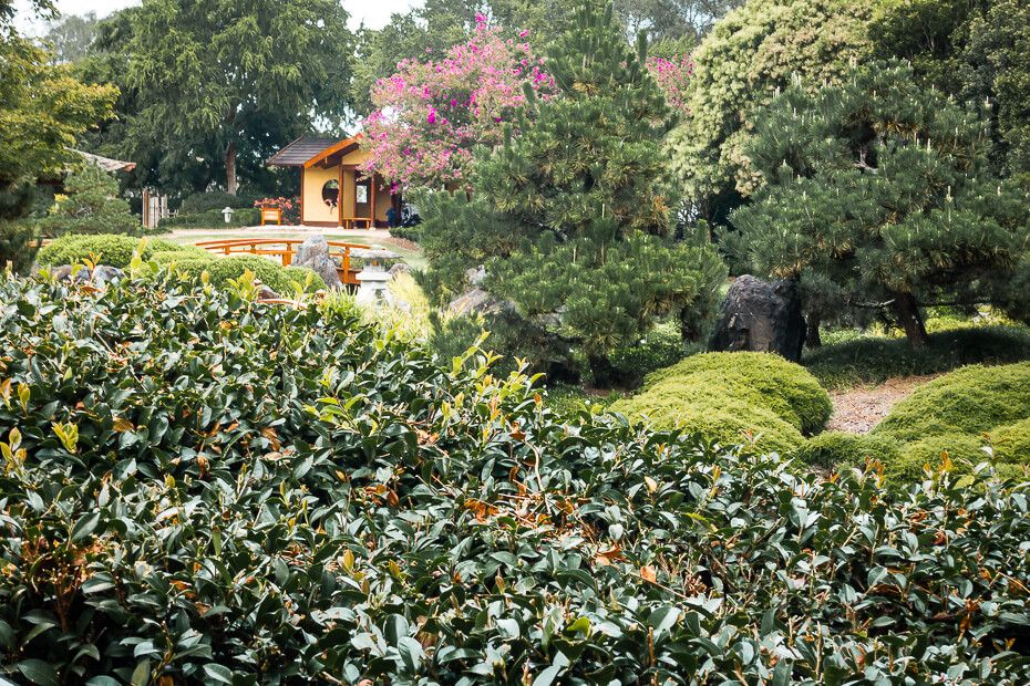 Japanese garden Japanese garden