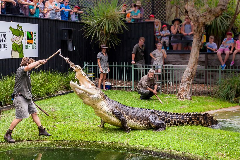 Australian Reptile Park