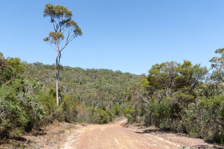 Kariong Brook Falls