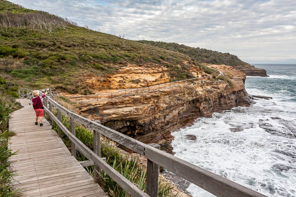 The Coastal Walk  in Bouddi National Park The Coastal Walk  in Bouddi National Park
