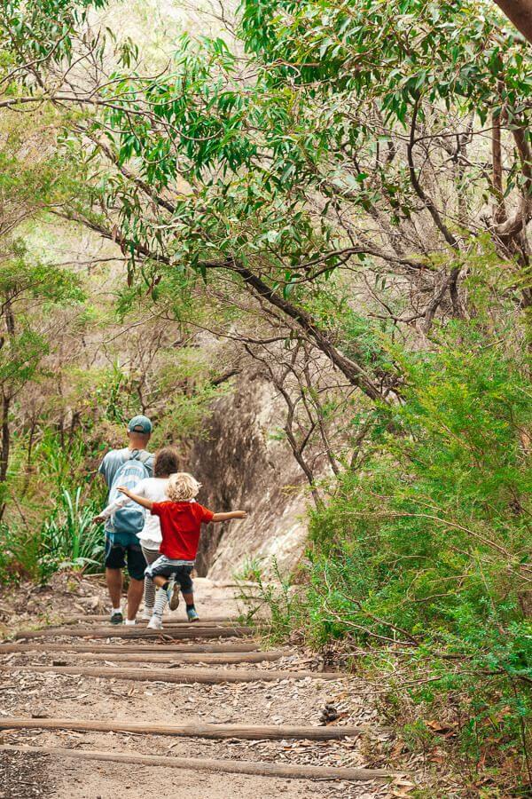 Killcare Beach Walks - Bouddi National Park Killcare Beach Walks - Bouddi National Park