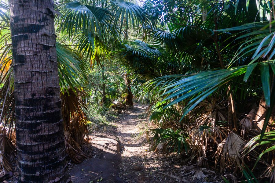 Flint and Steel Beach walking loop Flint and Steel Beach walking loop