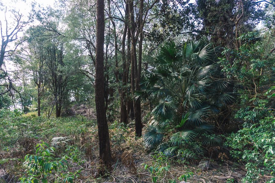 Flint and Steel Beach walking loop Flint and Steel Beach walking loop