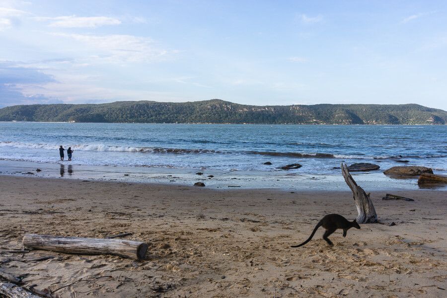 Flint and Steel Beach walking loop Flint and Steel Beach walking loop