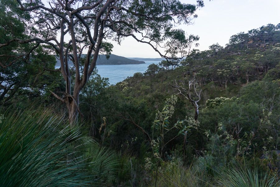 Flint and Steel Beach walking loop Flint and Steel Beach walking loop