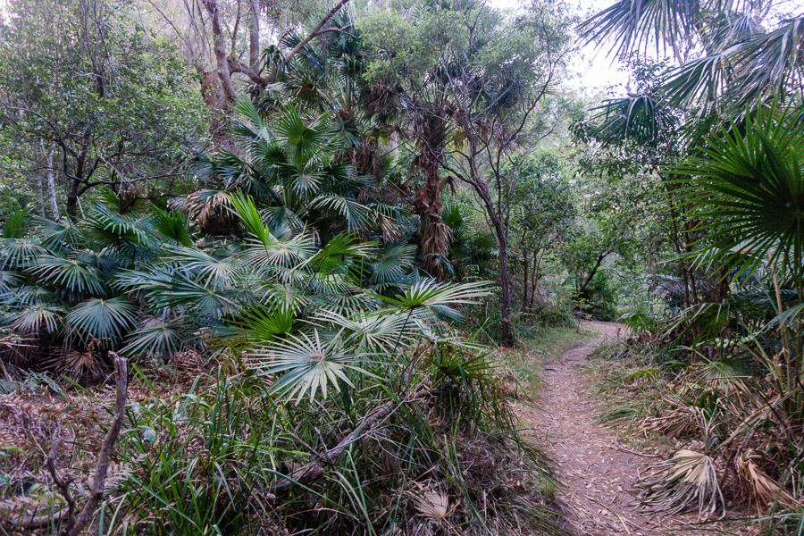Flint and Steel Beach walking loop Flint and Steel Beach walking loop