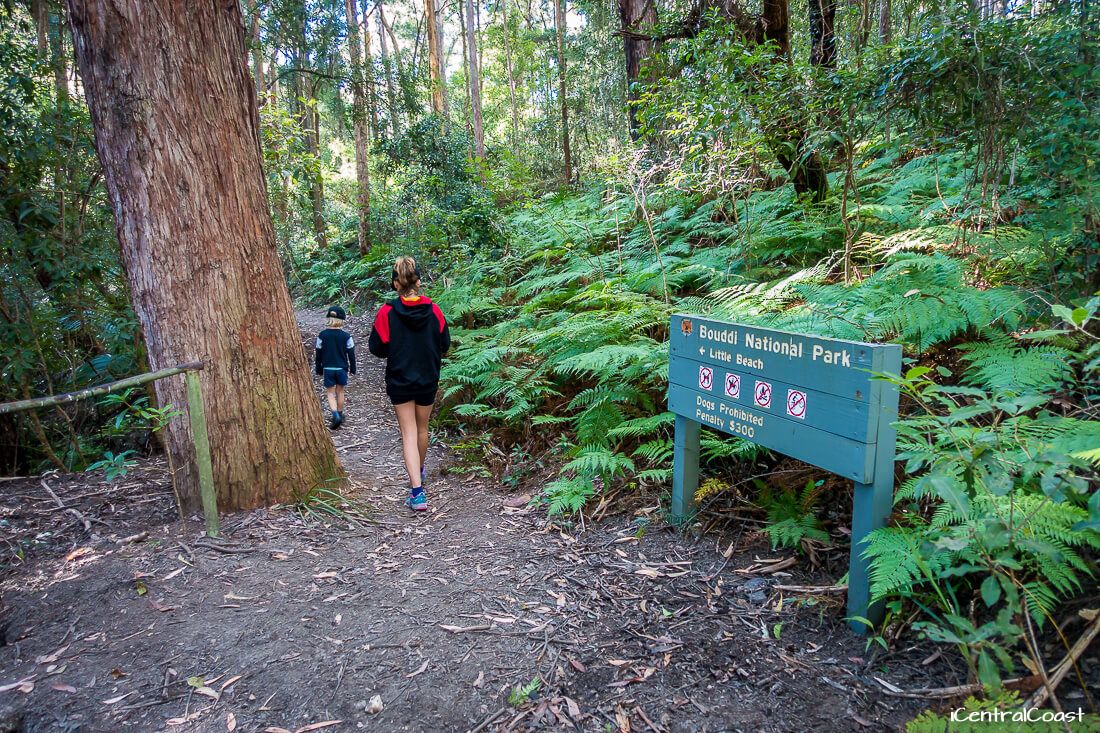 Beginning to walk on the walking track. Beginning to walk on the walking track.