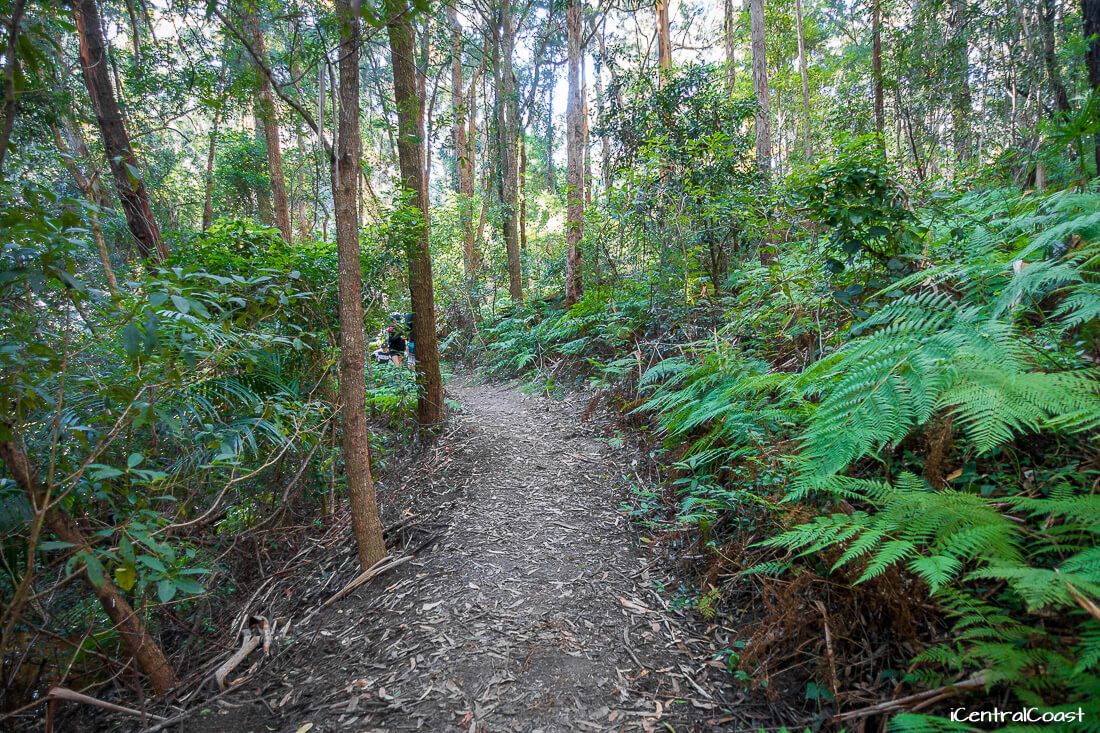 Walking on the walking track Walking on the walking track