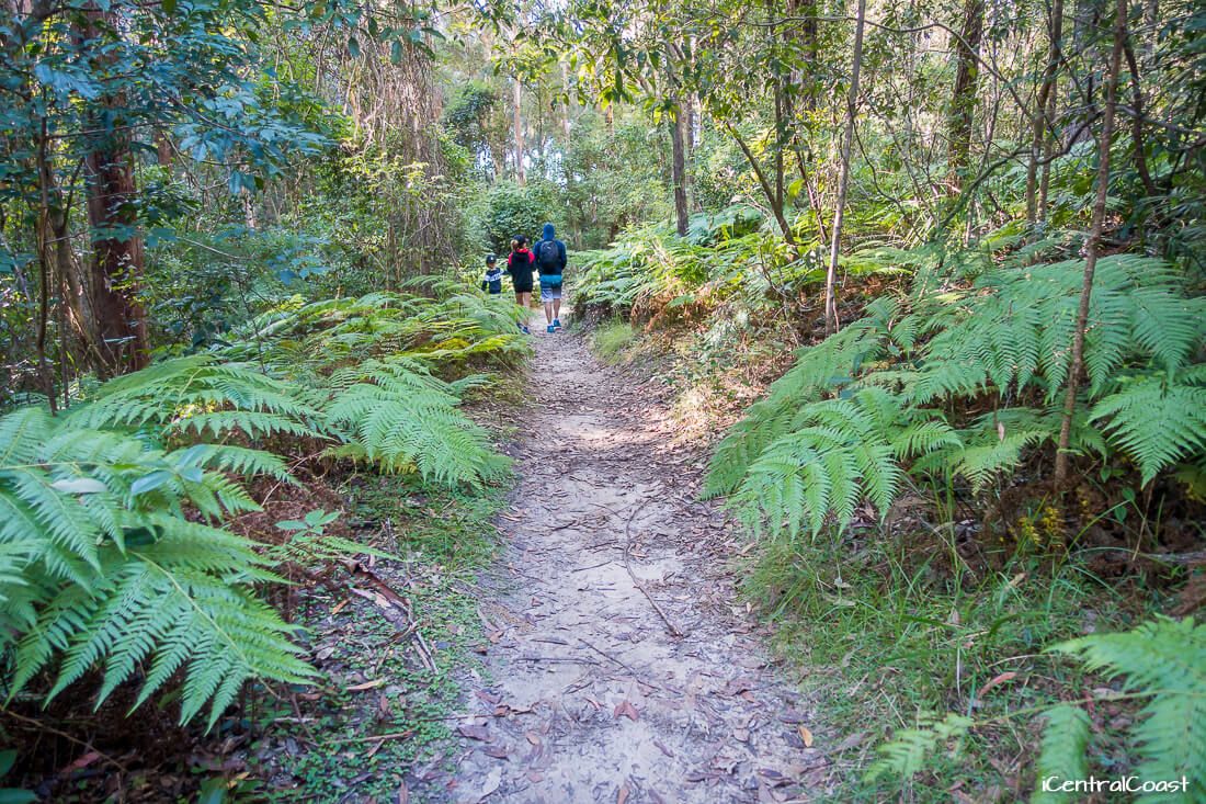 Walking on the walking track Walking on the walking track