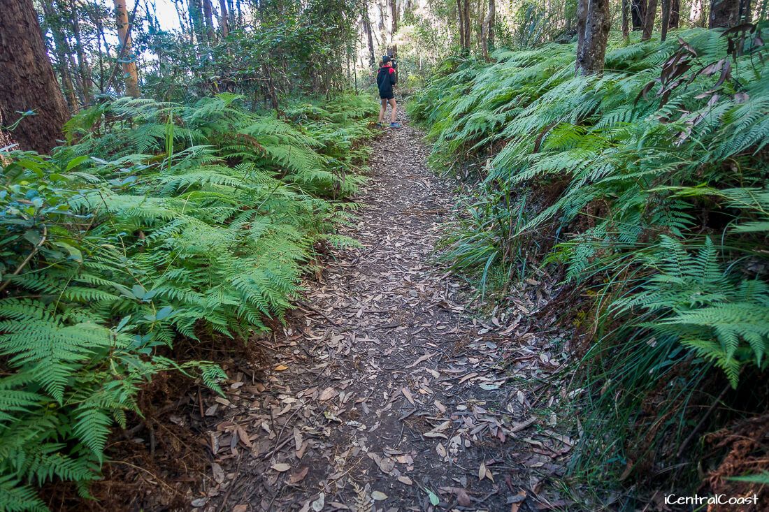 Walking on the walking track Walking on the walking track