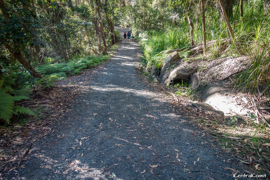 Walking on the fire trail. Walking on the fire trail.