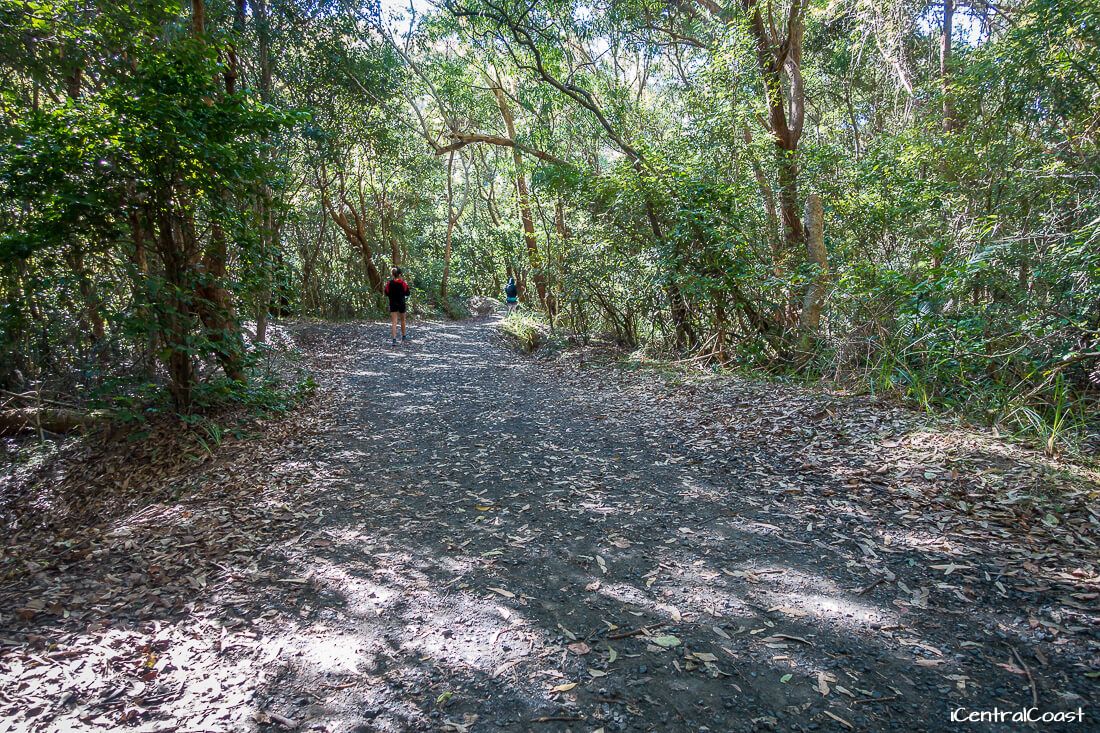 Walking on the fire trail. Walking on the fire trail.