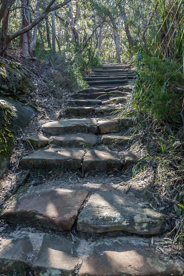 Stone stairs along the walking track