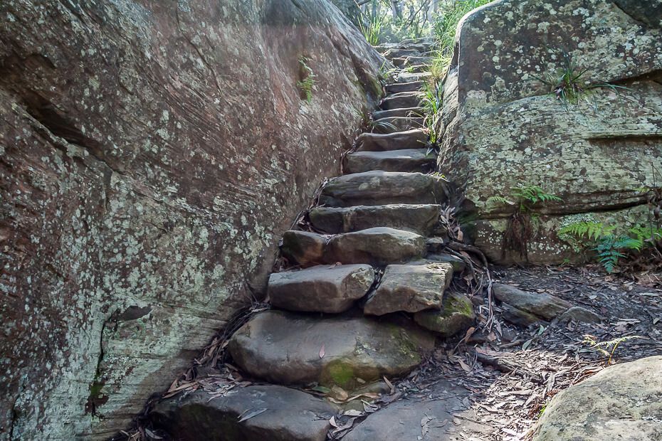 stairs along the walking track