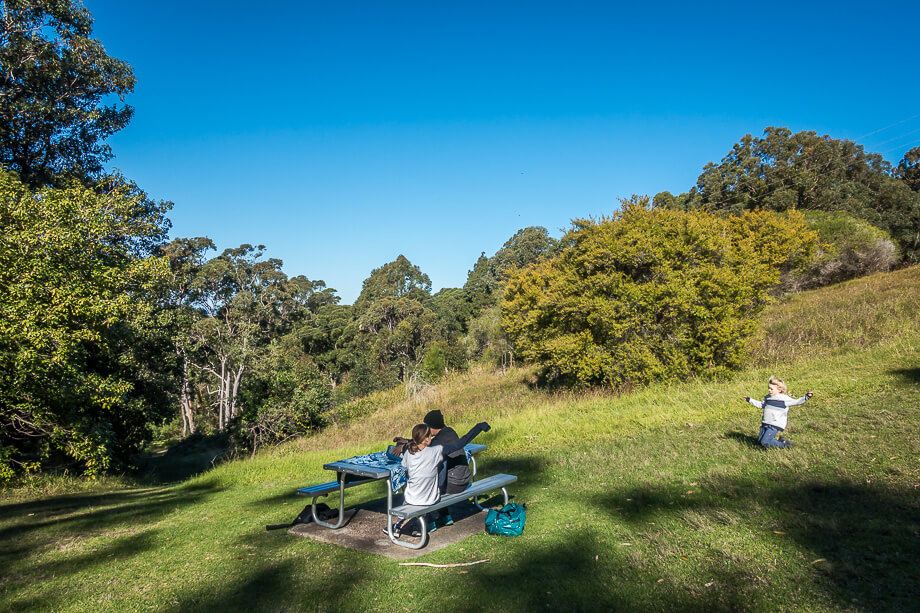 Picnic at Mount Sugarloaf Picnic at Mount Sugarloaf