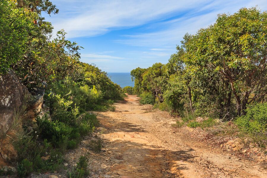 Mountain biking trail in Bouddi