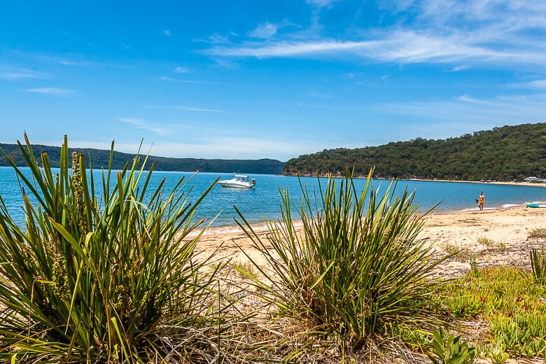 Patonga Beach Patonga Beach