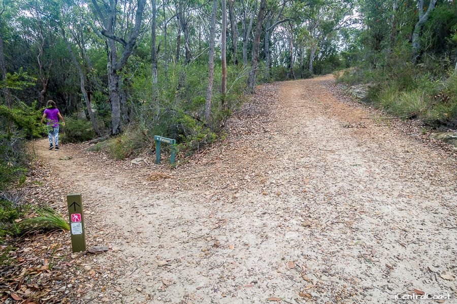 Patonga walking track