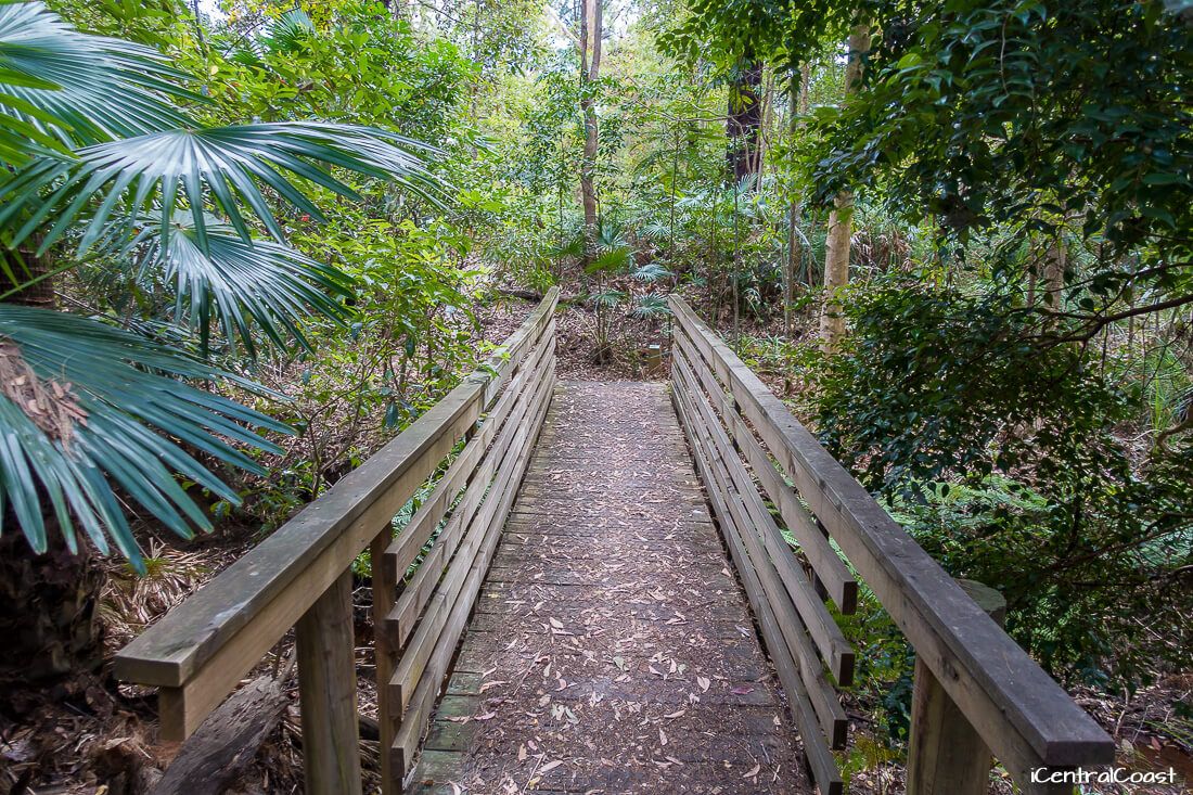 Crommelin Native Arboretum Crommelin Native Arboretum