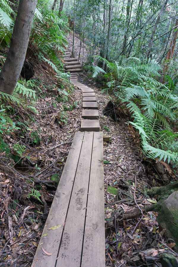Piles Creek loop track