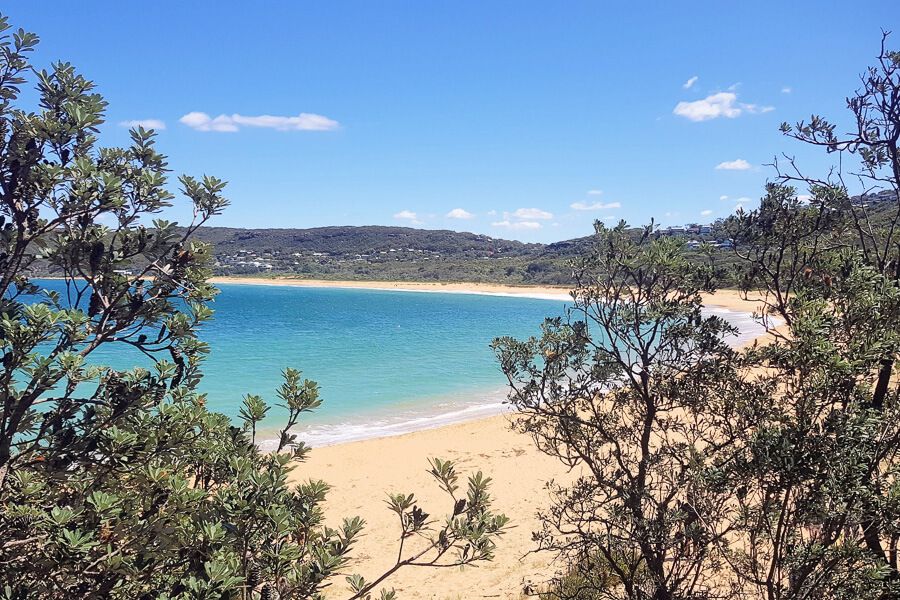 Putty Beach Putty Beach