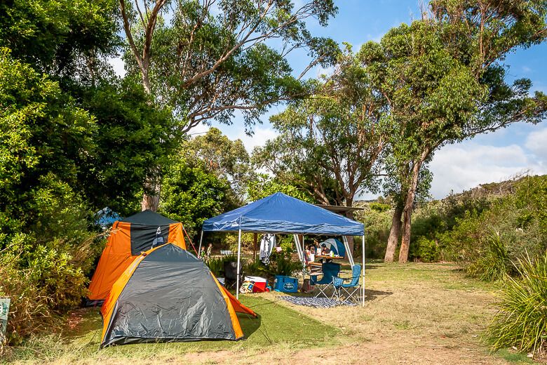 Putty Beach Campground Putty Beach Campground
