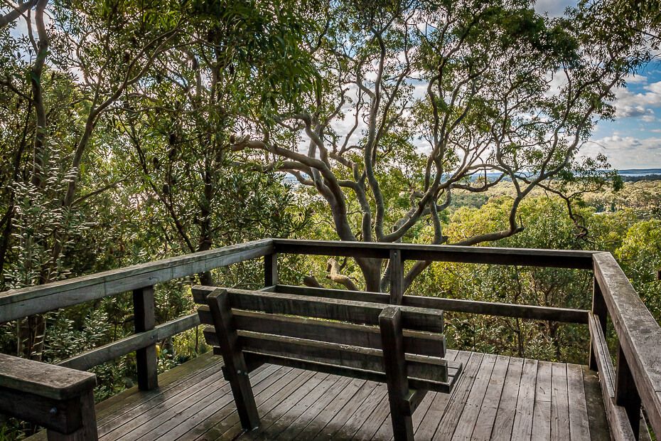 Seat on the wooden platform along the Red Gum trail Seat on the wooden platform along the Red Gum trail