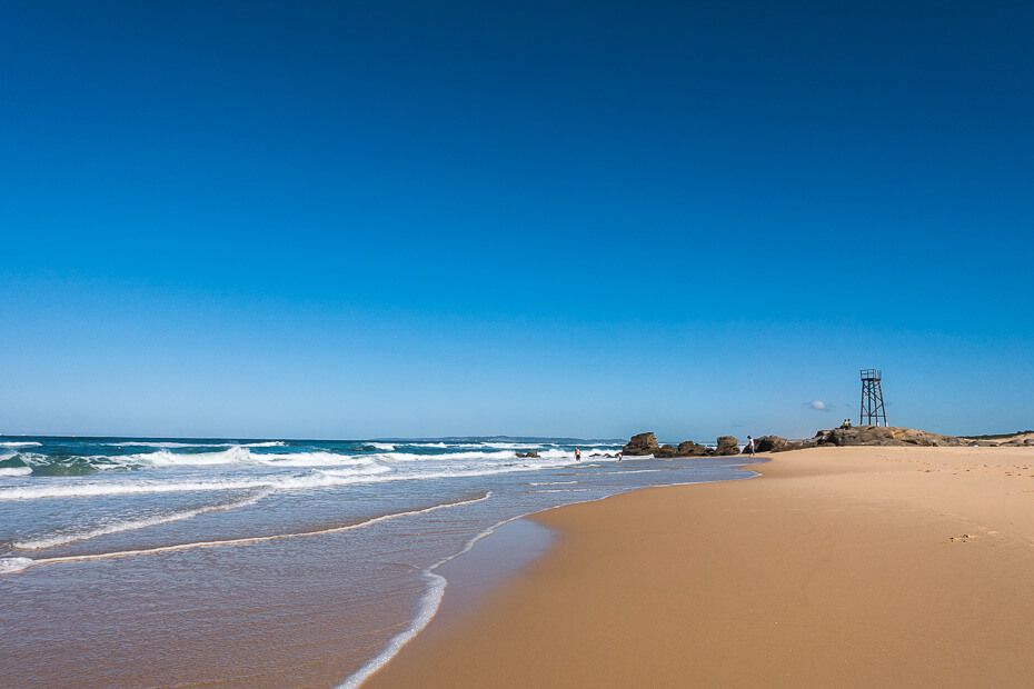 Looking at the shark tower Looking at the shark tower