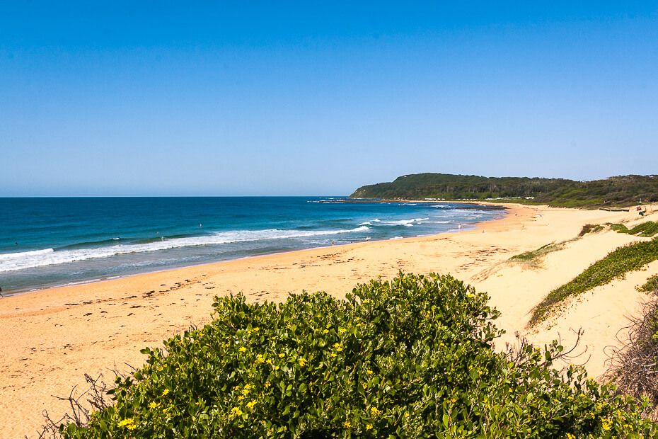 Discover Shelly Beach NSW - iCentralCoast