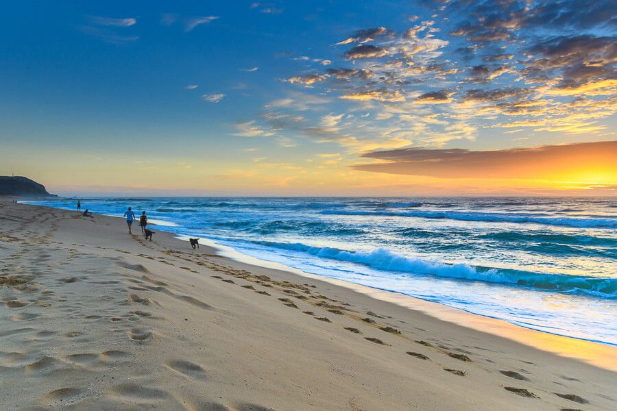 10 Best DogFriendly Beaches on the Central Coast iCentralCoast