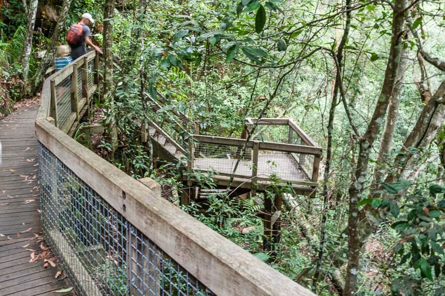 Somersby Falls walk Somersby Falls walk