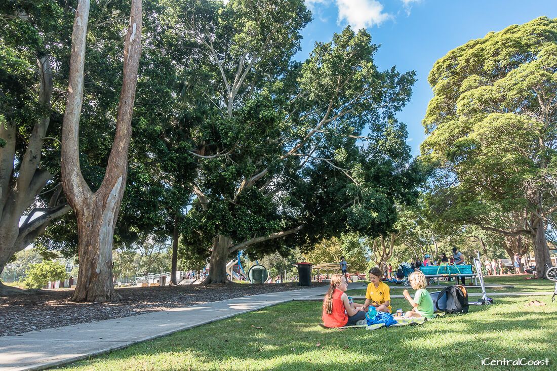 Kids having a picnic Kids having picnic under shaded tree