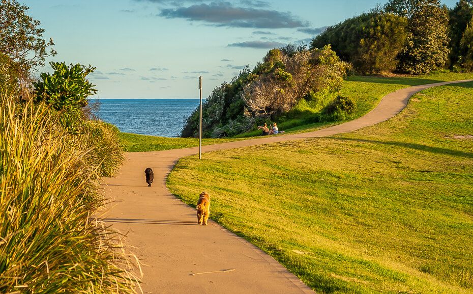 Dog off leash area and lookouts dog off leash area in terrigal