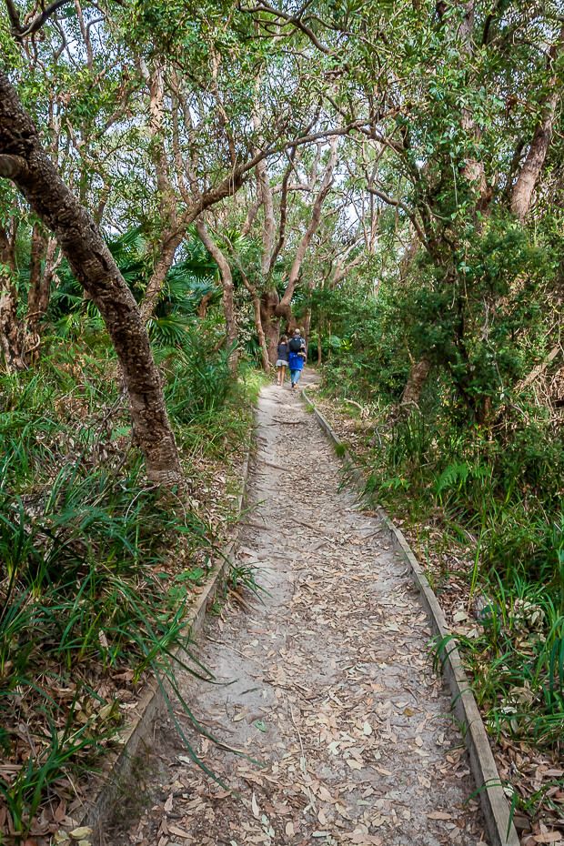 The Coast walking track The Coast walking track