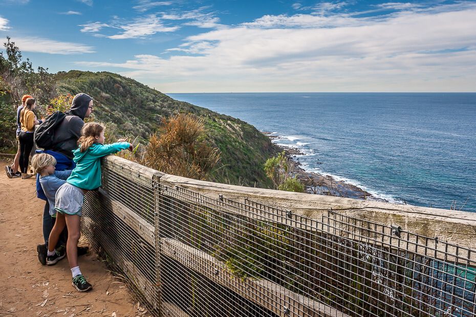 Wyrrabalong National Park Walking Tracks iCentralCoast