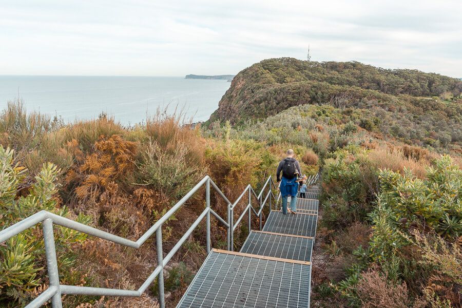 Central Coast Walks - The Coast Walking Track