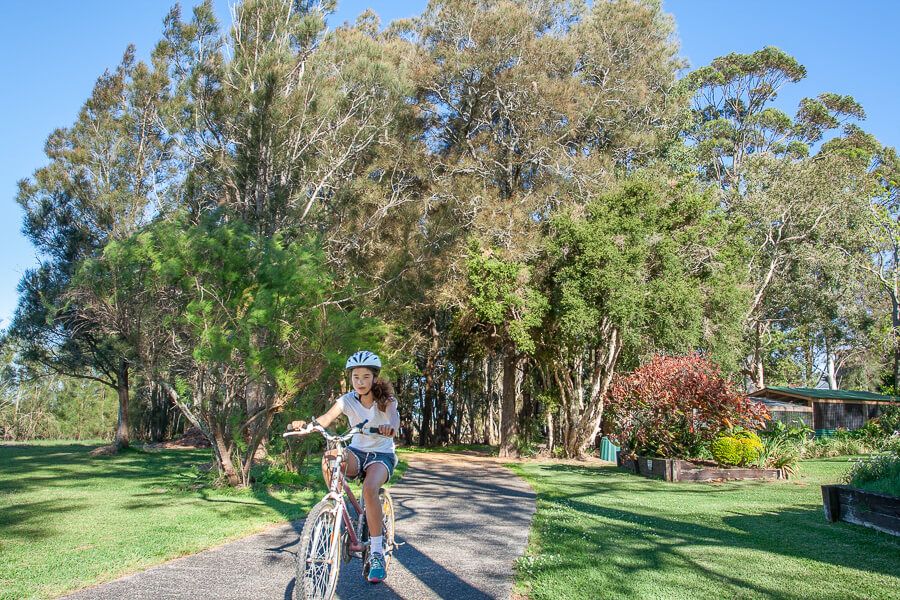 The Entrance The Entrance