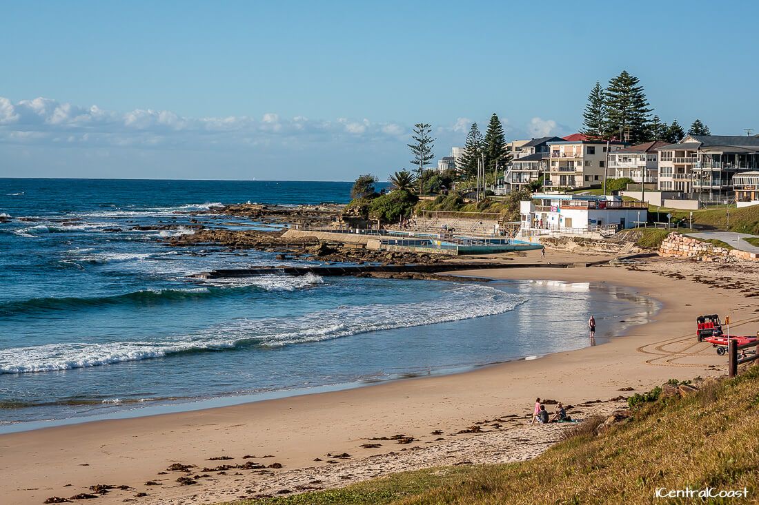 Is Shelly Beach Dog Friendly Is Shelly Beach Dog Friendly