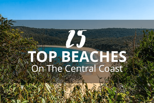 Favourite Central Coast Markets ICentralCoast