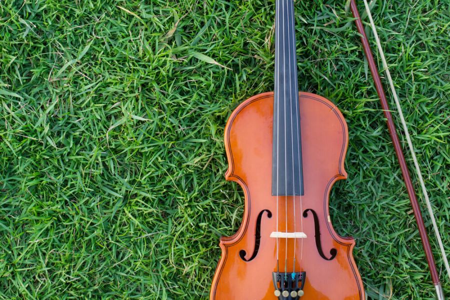 Violin park Violin park