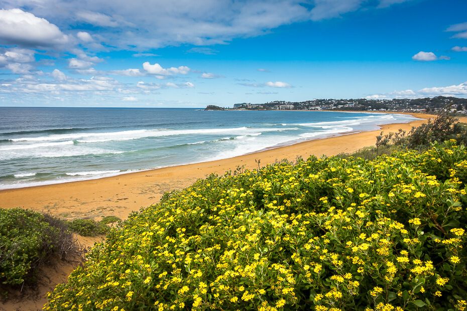 Wamberal Beach Wamberal Beach