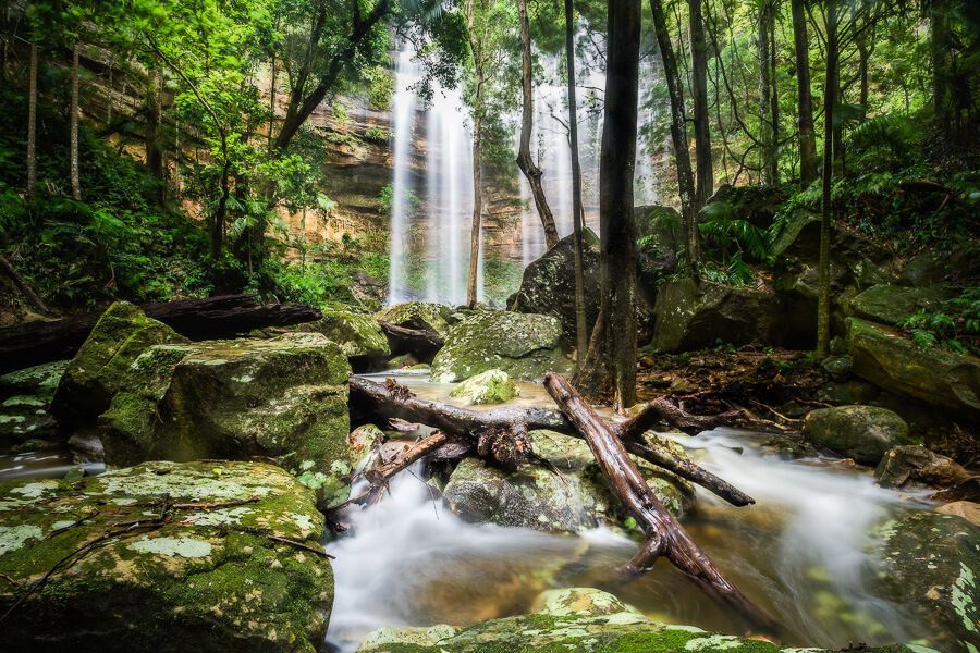 Things to do at Lake Macquarie - Watagans National Park.