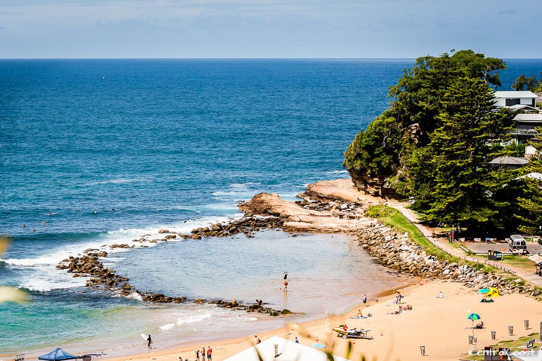 Avoca Beach Dog Friendly Avoca Beach Dog Friendly